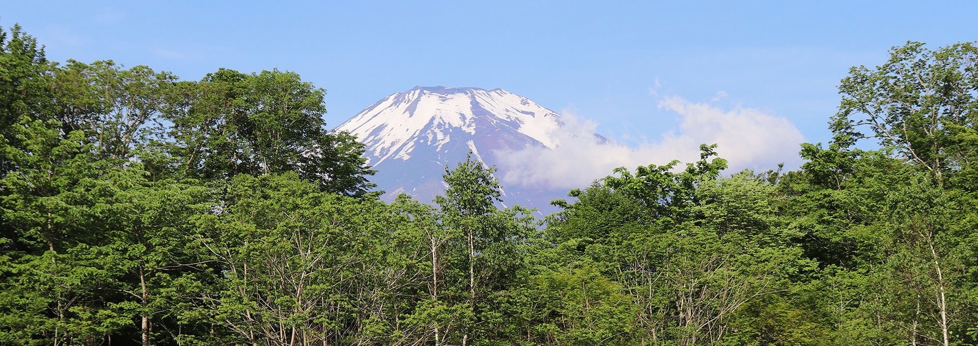 日本リゾートクラブ協会 Japan Resort Club Association